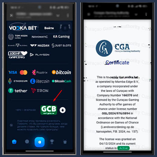 Лицензия казино Vodka